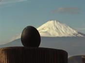 gioiello alle pendici monte Fuji: Hakone.