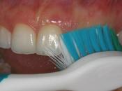 PAVIA. Conferenza sulle linee guida tema igiene dentale ANDI Pavia