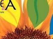 NarteA, cultura unita divertimento