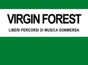 premessa Virgin Forest