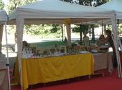 festa paese avvicina…4-5 MAGGIO 2014 MERCATINO! Seveso FOTO