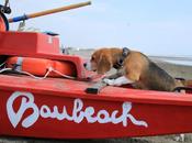 riapre maggio festeggia anni attività entusiasmanti novità…