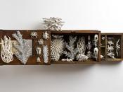 Katharine Morling Ceramics: sembra carta