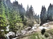 Trekking 10/5, 2014