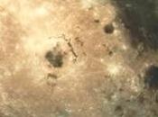 Arriva luna piena: parassiti fasi lunari