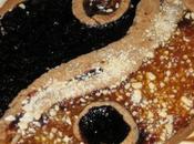 Crostata vegana Yang