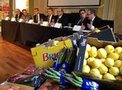 Agrintesa entra Brio diventare colosso dell’ortofrutta biologica