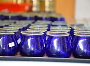 Lazio: corso assaggiatori olio olive.