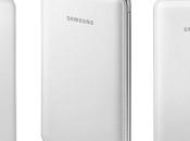 Caricabatterie esterno Samsung 6.000 stile Galaxy Note