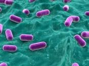 Nuove frontiere terapeutiche: trapianto fecale microbiota