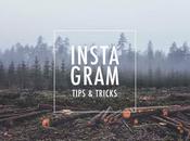 Instagram tips tricks