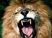 Soncino, perché giunta Salini approvato progetto definitivo della tangenziale Sud? Dov’è necessità?