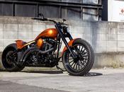 Harley Softail Custom 2006 "Duel" Land