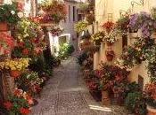 Piazzetta, accoglienza alto livello turisti Spello