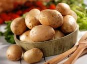 BOLOGNA indagati truffa delle false patate italiane