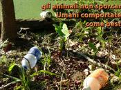 gita mare boschi? animali sporcano. Noi? Comportiamoci come bestie! Ecco l’eco cestino picnic @minimoimpatto