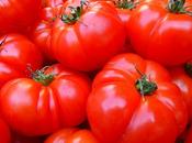 Mangiate pomodori…proteggono pelle sole!