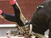 Dramma Ventas Madrid: feriti toreri corrida sospesa
