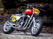 Harley "1200 Cross" Shaw Speed Custom