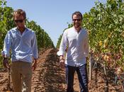 Vino misura. Tailored Wine.