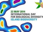 23/05/2014 Ambiente: Galletti, isole aree marine protette tesoro italiano valorizzare