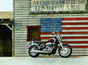 Harley-Davidson Dyna Rider 2014