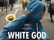 Cannes “White God” Kornél Mundruczó (Primo Premio Certain Regard