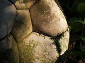 Bari Calcio, sono proprietari?