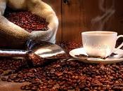 Caffè: produttori, vendite termine guadagni degli intermediari.