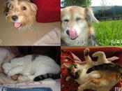 aspettano Bradipo loro prima