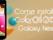 Come installare ColorOS Galaxy Nexus