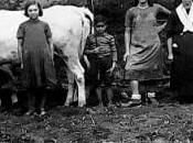 casa degli abissi nonni cairesi