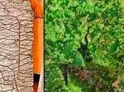 milioni anni creata mappa degli Urali: PIetra Dashka Varie