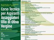 L'Assoproli Bari miglioramento della filiera olivicola: nuovo corso assaggiatori.