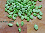 Food&amp;Colors: Fava