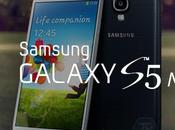 Galaxy Mini sarà dotato lettore d’impronte digitali