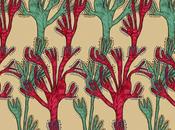 bellissimi accattivanti patterns marina molares