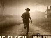 Serie flesh Walking Dead