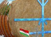 Architettura Organica