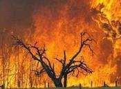 campagne fuoco l'Utile Disastro