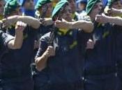 Guardia ladri