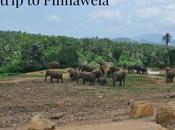 trip Pinnawela