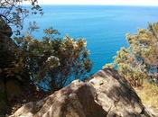 Trekking Levanto Cinque Terre