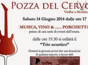 Montaione “Musica, Vino .... Porchetta” ”Music, Wine Roastpig” center (Florence)