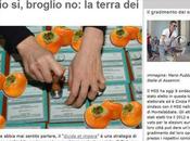 Grillo bipolare, brogli legittimazione Renzi