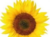 Sole dentro, anche fuori