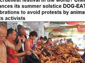 festival della carne cane Cina.