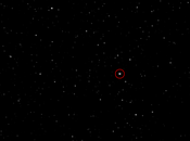 corta chioma Rosetta