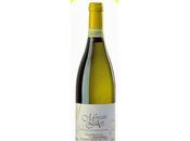 Charlotte allo zabaione.