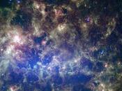 segreti organici della Grande Nube Magellano